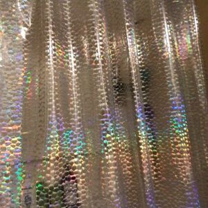 Holographic Shower Curtain